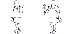 حرکات ورزشی بزرگ کردن سینه مردان,جلو بازو دمبل