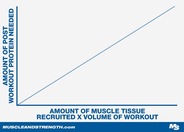 توده‌ی عضلانی-حجم تمرینی-پروتئین